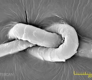 Wood, Textile & Paper