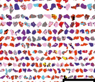 TESCAN SEM Solutions for Earth Sciences