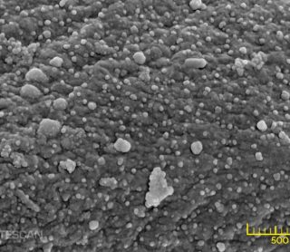 Biomedical Engineering