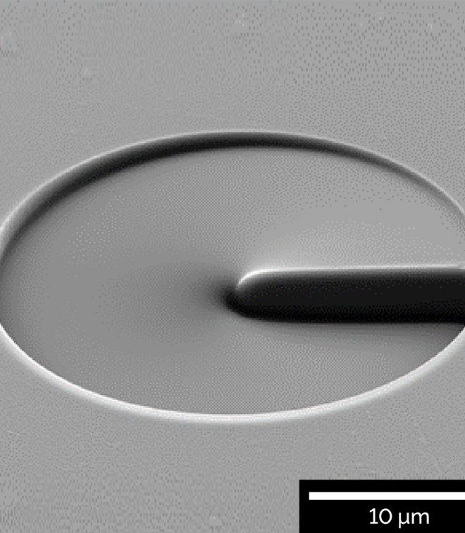 TESCAN FIB-SEM Solutions